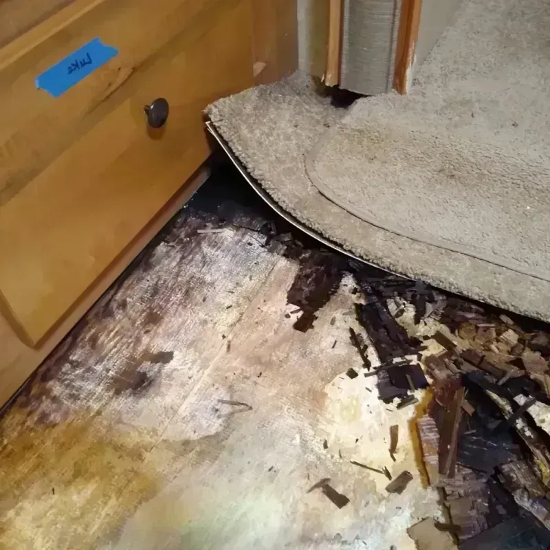 Wood Floor Water Damage in Alamo, TX